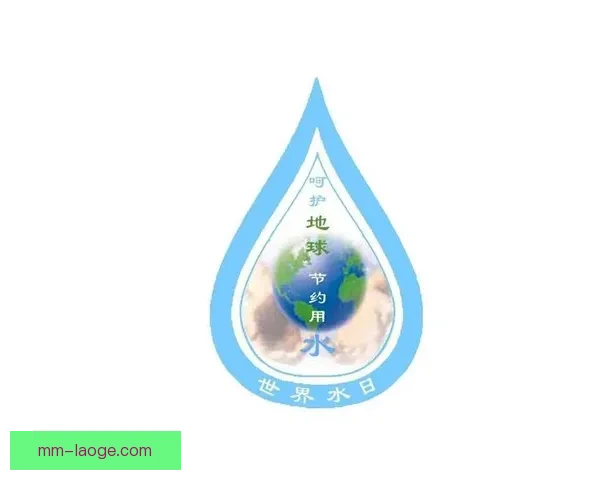 2026世界杯携手联合国共同推进全球水资源保护行动